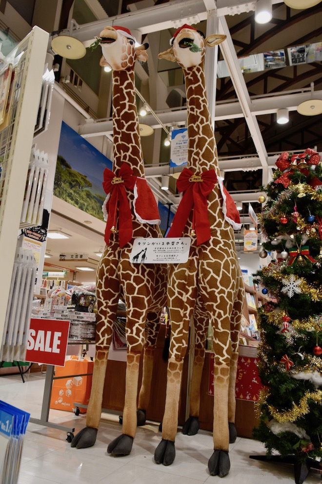 2017年12月12日(火)に福岡県のメトロ書店ソラリアステージ店にて「崩れる脳を抱きしめて」刊行記念 知念実希人トーク&サイン会が開催されます。